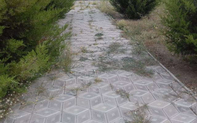 Ставленница Балицкого глумится над святыней (ФОТО) Фото № 3 Ставленница Балицкого глумится над святыней (ФОТО) Фото № 3