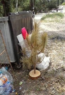 В Мелитополе закончили празднование Нового Года Фото № 0 В Мелитополе закончили празднование Нового Года Фото № 0