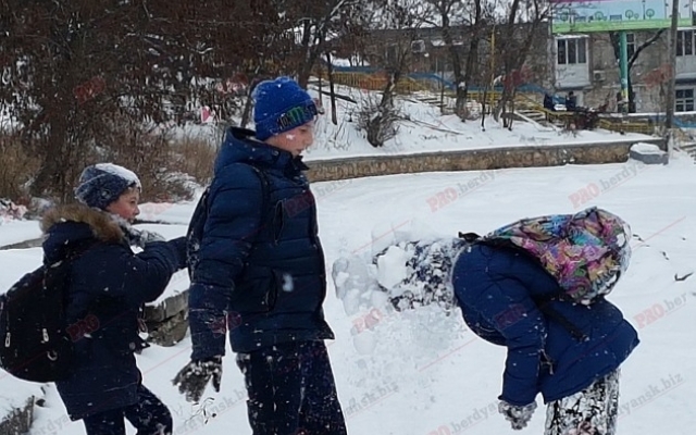 Горожане занялись странным спортом прямо на улице (ВИДЕО) Фото № 0 Горожане занялись странным спортом прямо на улице (ВИДЕО) Фото № 0