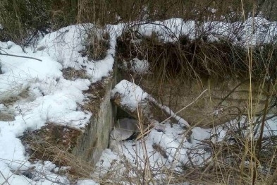 В Запорожской области нашли оружейный тайник Фото № 0 В Запорожской области нашли оружейный тайник Фото № 0