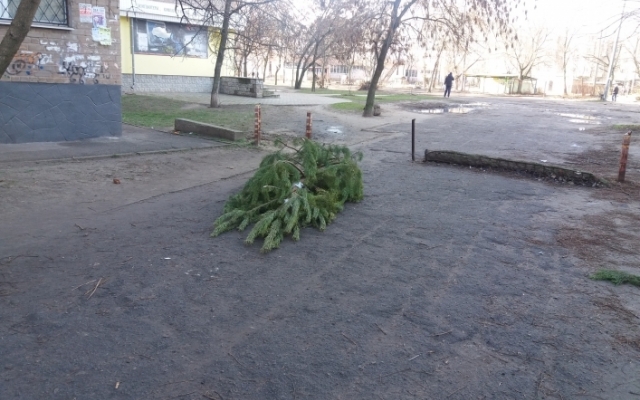 Запорожцы возмущены невежеством земляков (ФОТО) Фото № 0 Запорожцы возмущены невежеством земляков (ФОТО) Фото № 0