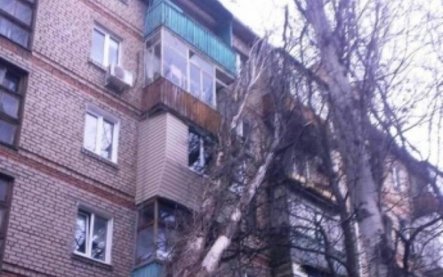 Последствия стихии: тополь упал на жилой дом (ФОТО) Фото № 0 Последствия стихии: тополь упал на жилой дом (ФОТО) Фото № 0