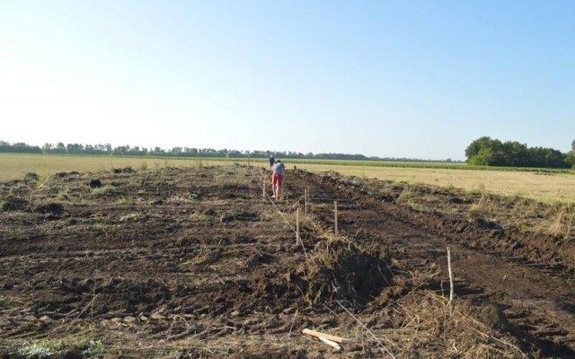 В Запорожской области в кургане обнаружили останки средневекового всадника (ФОТОРЕПОРТАЖ) Фото № 1 В Запорожской области в кургане обнаружили останки средневекового всадника (ФОТОРЕПОРТАЖ) Фото № 1