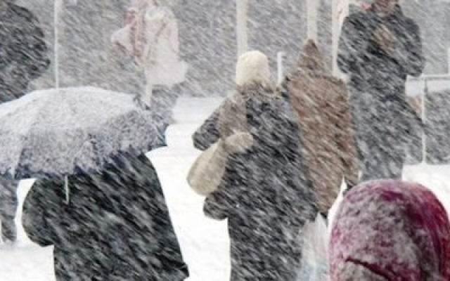 В Запорожье идет метель и сильный ветер Фото № 0 В Запорожье идет метель и сильный ветер Фото № 0