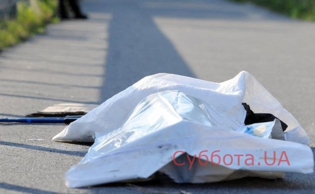 В Запорожской области посреди одной из улиц лежал труп женщины Фото № 0 В Запорожской области посреди одной из улиц лежал труп женщины Фото № 0