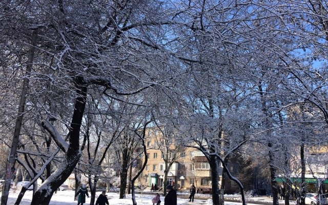 Сегодняшнее утро удивило запорожцев (ФОТО) Фото № 6 Сегодняшнее утро удивило запорожцев (ФОТО) Фото № 6