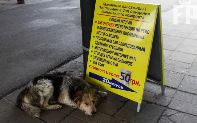 Смотрите: Как сегодня выглядит обновленный запорожский аэропорт Фото № 3 Смотрите: Как сегодня выглядит обновленный запорожский аэропорт Фото № 3