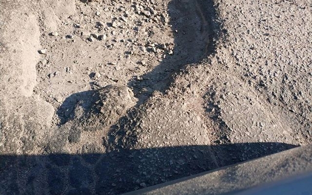 Фотофакт: Запорожцы показали Фотофакт: Запорожцы показали