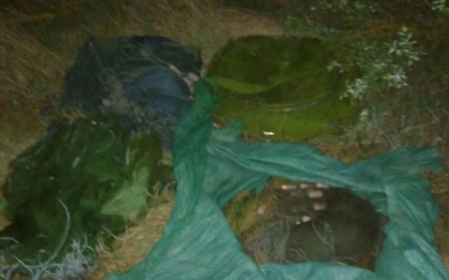 В Запорожской области пограничники задержали группу браконьеров Фото № 0 В Запорожской области пограничники задержали группу браконьеров Фото № 0