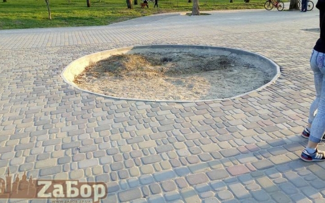 Запорожцы шокированы состоянием парка (ФОТО) Фото № 12 Запорожцы шокированы состоянием парка (ФОТО) Фото № 12
