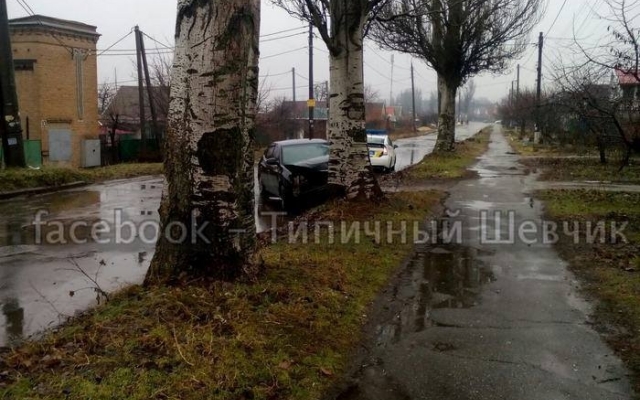 В Запорожье иномарка врезалась в дерево (ФОТО) Фото № 1 В Запорожье иномарка врезалась в дерево (ФОТО) Фото № 1