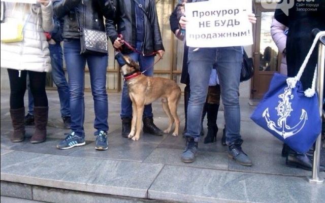 В эти минуты в Запорожье проходит митинг Фото № 3 В эти минуты в Запорожье проходит митинг Фото № 3