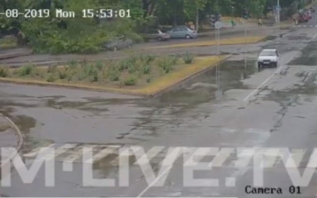 В Запорожской области дерево рухнуло сразу на три авто, которые двигались по дороге (ВИДЕО) Фото № 0