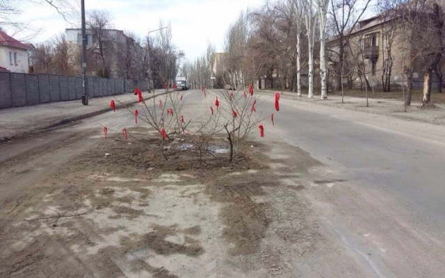 В Запорожье посреди автодороги посадили дерево желаний Фото № 0 В Запорожье посреди автодороги посадили дерево желаний Фото № 0
