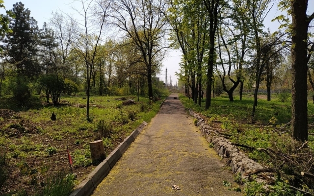 Фотофакт: В ботаническом саду Запорожья провели уборку Фото № 2 Фотофакт: В ботаническом саду Запорожья провели уборку Фото № 2