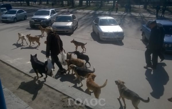 АТБ на Бородинском опасен Фото № 2 АТБ на Бородинском опасен Фото № 2