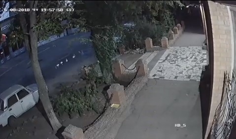 Под Запорожьем жестоко убит питомец известной зоозащитницы (ВИДЕО) Фото № 0 Под Запорожьем жестоко убит питомец известной зоозащитницы (ВИДЕО) Фото № 0