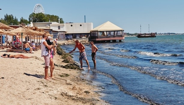 С пляжей запорожского курорта грузовиками вывозят водоросли (ФОТО) Фото № 3 С пляжей запорожского курорта грузовиками вывозят водоросли (ФОТО) Фото № 3