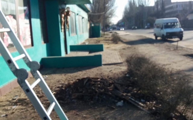 Из-за бизнесмена в городе не стало тополиной аллеи (ФОТО) Фото № 0 Из-за бизнесмена в городе не стало тополиной аллеи (ФОТО) Фото № 0