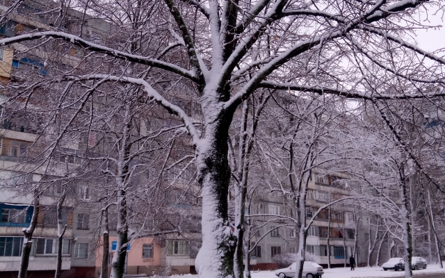 Сегодняшнее утро удивило запорожцев (ФОТО) Фото № 11 Сегодняшнее утро удивило запорожцев (ФОТО) Фото № 11