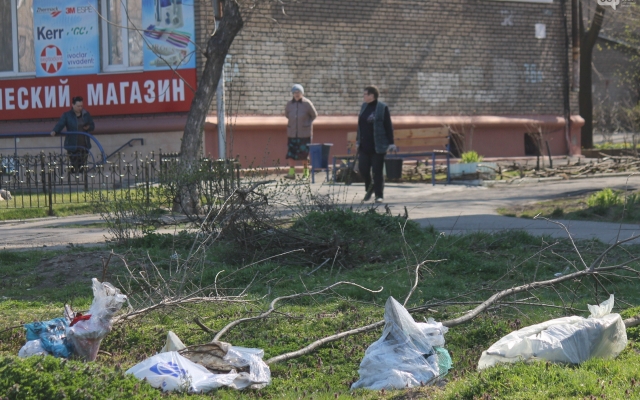 Неравнодушные запорожцы высадили в сквере Яланского дубовую рощу (ФОТО) Фото № 1 Неравнодушные запорожцы высадили в сквере Яланского дубовую рощу (ФОТО) Фото № 1