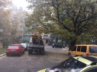 В Мелитополе кронировали дерево почти под корень (ФОТО) Фото № 2 В Мелитополе кронировали дерево почти под корень (ФОТО) Фото № 2