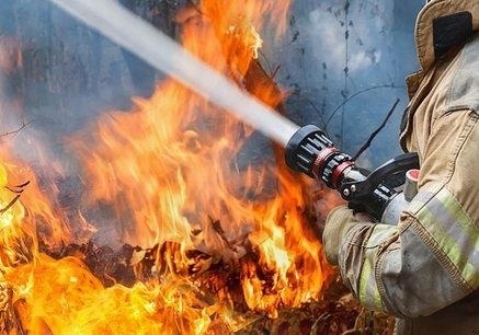 Под Запорожьем огонь уничтожает гектары природы Фото № 0 Под Запорожьем огонь уничтожает гектары природы Фото № 0