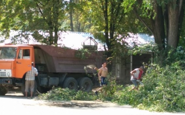 В скандальном сквере Запорожья уничтожают деревья (ФОТО) Фото № 3 В скандальном сквере Запорожья уничтожают деревья (ФОТО) Фото № 3