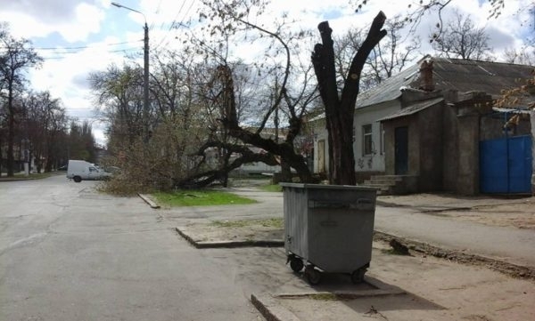 На запорожском курорте дерево рухнуло на дом (ФОТО) Фото № 1 На запорожском курорте дерево рухнуло на дом (ФОТО) Фото № 1