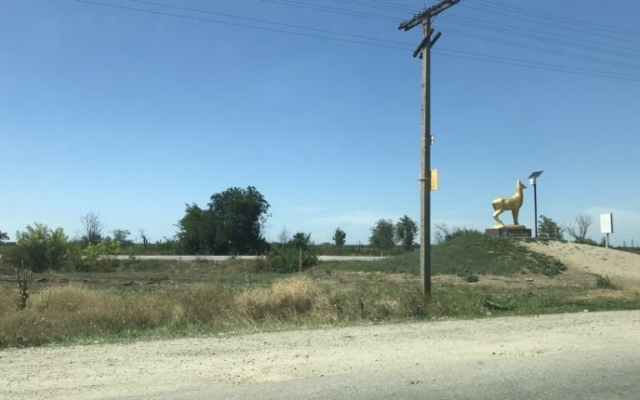 По дороге на запорожский курорт произошло ДТП Фото № 0 По дороге на запорожский курорт произошло ДТП Фото № 0