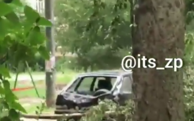 В Запорожской области тополь раздавил легковушку (ВИДЕО) Фото № 0 В Запорожской области тополь раздавил легковушку (ВИДЕО) Фото № 0