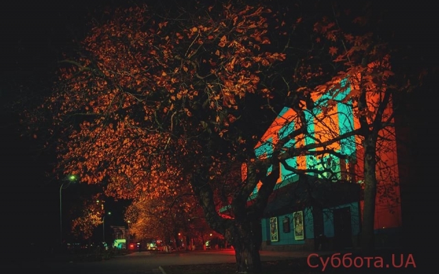 Запорожский фотограф поделился красочными осенними фотоснимками природы Запорожской области Фото № 1 Запорожский фотограф поделился красочными осенними фотоснимками природы Запорожской области Фото № 1
