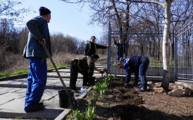 В запорожских парках появляются новые клумбы и цветы Фото № 7 В запорожских парках появляются новые клумбы и цветы Фото № 7