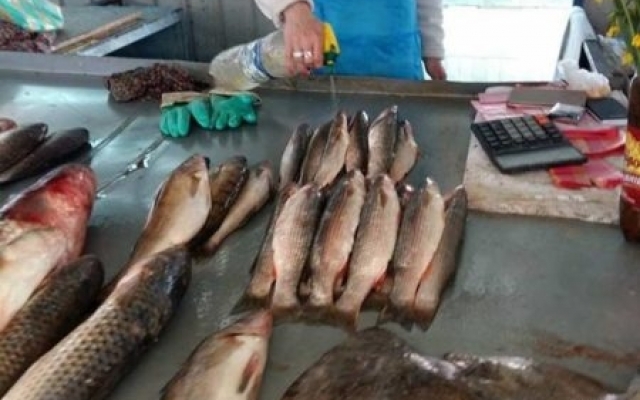 Ужасы центрального рынка: Запорожцев призывают быть осторожными на Ужасы центрального рынка: Запорожцев призывают быть осторожными на