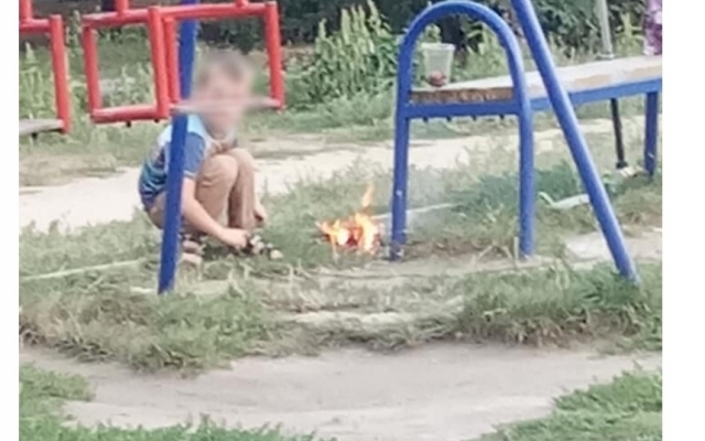 В одном из дворов Запорожья женщина с маленьким ребенком разожгла костер (ФОТО) Фото № 2 В одном из дворов Запорожья женщина с маленьким ребенком разожгла костер (ФОТО) Фото № 2