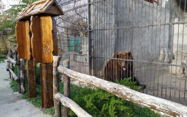 В реабилитационном центре Запорожья появились новые питомцы (ВИДЕО) Фото № 5 В реабилитационном центре Запорожья появились новые питомцы (ВИДЕО) Фото № 5