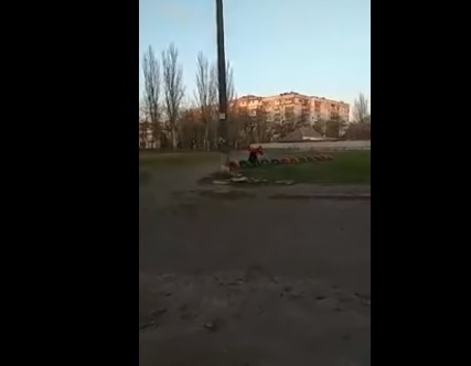 Под Запорожьем разыскивают девушку, которая жестоко избивала своего питомца посреди улицы (ВИДЕО) Фото № 0 Под Запорожьем разыскивают девушку, которая жестоко избивала своего питомца посреди улицы (ВИДЕО) Фото № 0