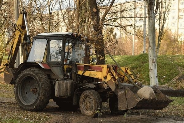 «Дубовий гай» озеленят полтысячи деревьев и кустарников Фото № 5 «Дубовий гай» озеленят полтысячи деревьев и кустарников Фото № 5