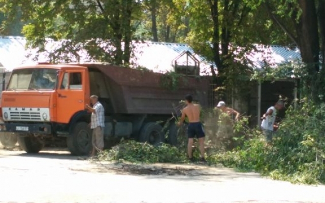 В скандальном сквере Запорожья уничтожают деревья (ФОТО) Фото № 4 В скандальном сквере Запорожья уничтожают деревья (ФОТО) Фото № 4