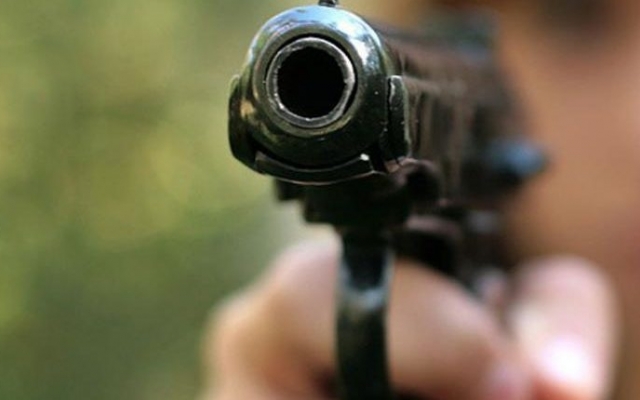 В Запорожской области вор выстрелил в хозяина частного дома Фото № 0 В Запорожской области вор выстрелил в хозяина частного дома Фото № 0