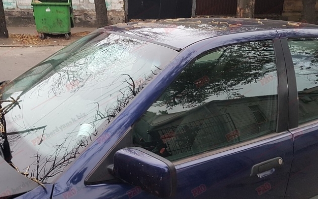 В Запорожской области авто на еврономерах влетело в дерево (ФОТО-ВИДЕО) Фото № 1 В Запорожской области авто на еврономерах влетело в дерево (ФОТО-ВИДЕО) Фото № 1