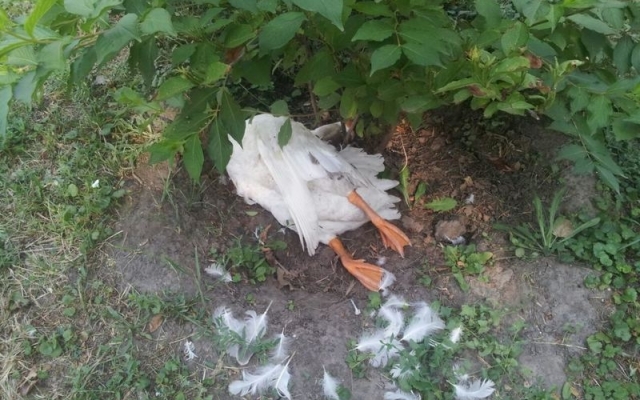 В Запорожье в В Запорожье в