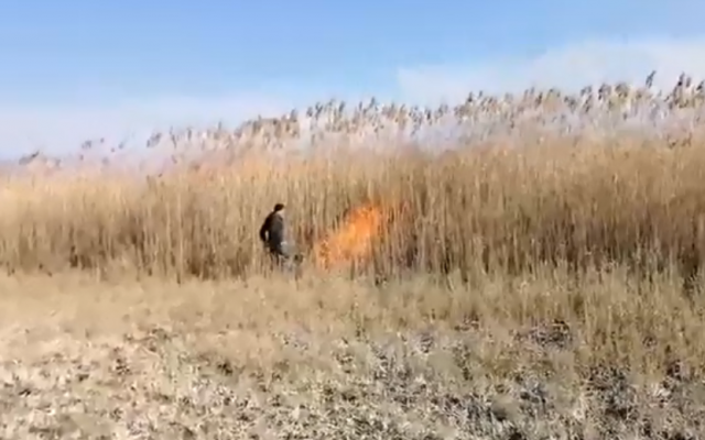 В Запорожской области поймали поджигателя (ВИДЕО) Фото № 0 В Запорожской области поймали поджигателя (ВИДЕО) Фото № 0