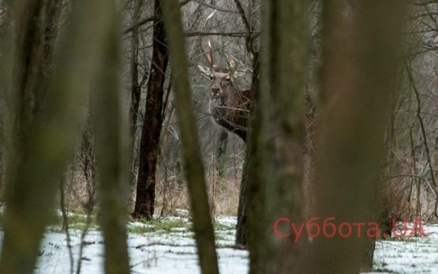 Запорожский фотограф показал новую подборку завораживающих фото Фото № 0 Запорожский фотограф показал новую подборку завораживающих фото Фото № 0