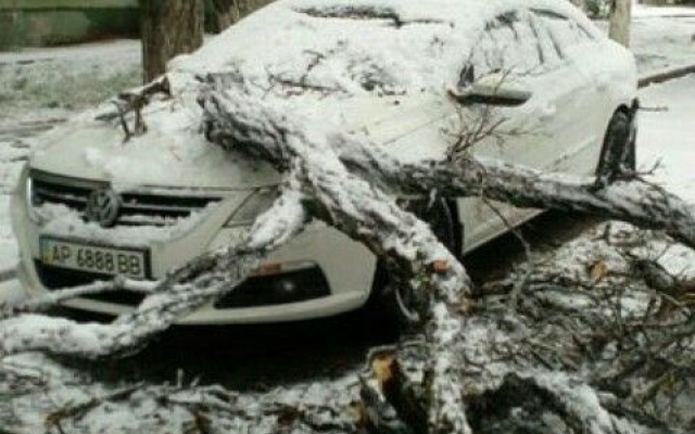 Фотофакт: Во всех районах Запорожья падают деревья и страдают автомобили Фото № 3 Фотофакт: Во всех районах Запорожья падают деревья и страдают автомобили Фото № 3