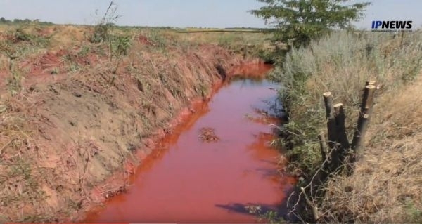 В сети опубликовали видео ядовитой реки Фото № 0 В сети опубликовали видео ядовитой реки Фото № 0