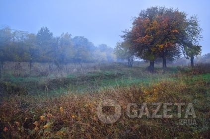 Запорожская осень продолжает поражать своими красками (ФОТО) Фото № 0 Запорожская осень продолжает поражать своими красками (ФОТО) Фото № 0