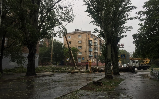 В Запорожье из-за непогоды повалило десятки деревьев (ФОТОРЕПОРТАЖ) Фото № 4 В Запорожье из-за непогоды повалило десятки деревьев (ФОТОРЕПОРТАЖ) Фото № 4