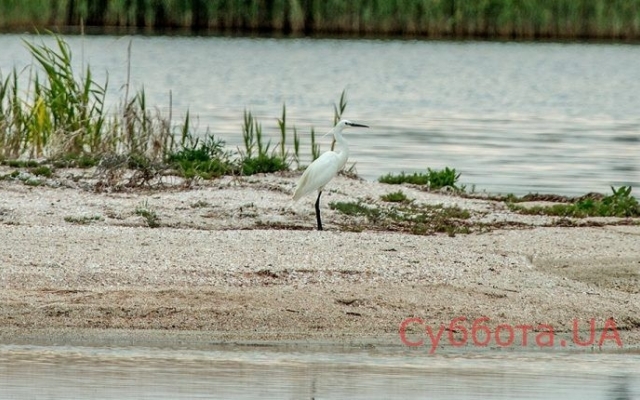 Запорожский фотограф опубликовал подборку удивительных снимков Фото № 7 Запорожский фотограф опубликовал подборку удивительных снимков Фото № 7