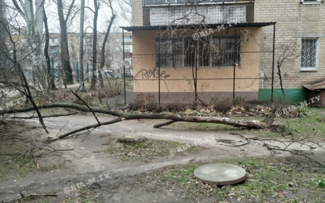 Под Запорожьем ураган наделал беды (ФОТО) Фото № 2 Под Запорожьем ураган наделал беды (ФОТО) Фото № 2